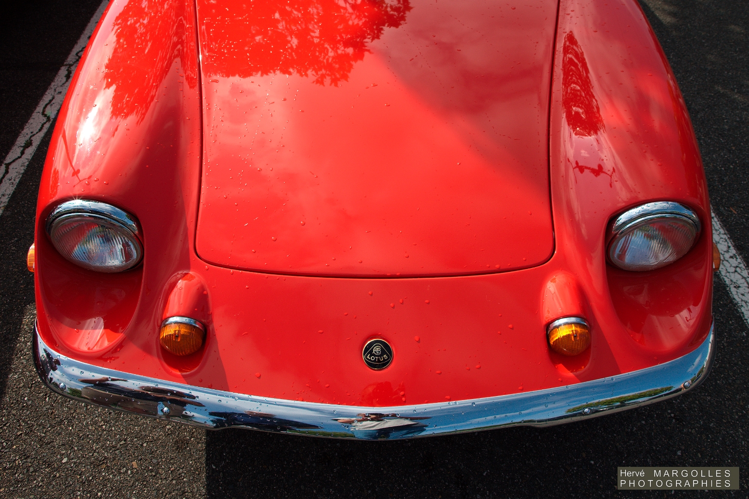Lotus Europa-05.jpg
